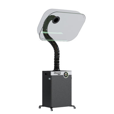 De Verwijderingsmachine van de touch screen300w Rook voor Moxibustion