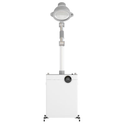 Energie - besparings40w Moxibustion Machine met Dampzuiveringsinstallatie