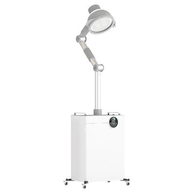 Energie - besparings40w Moxibustion Machine met Dampzuiveringsinstallatie