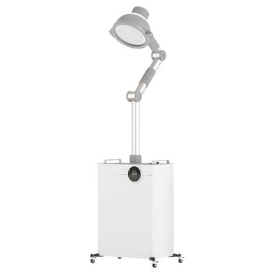Energie - besparings40w Moxibustion Machine met Dampzuiveringsinstallatie