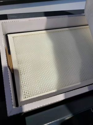 De draagbare 420*245*400mm van de de Damptrekker van de Haarsalon Universele Wielen